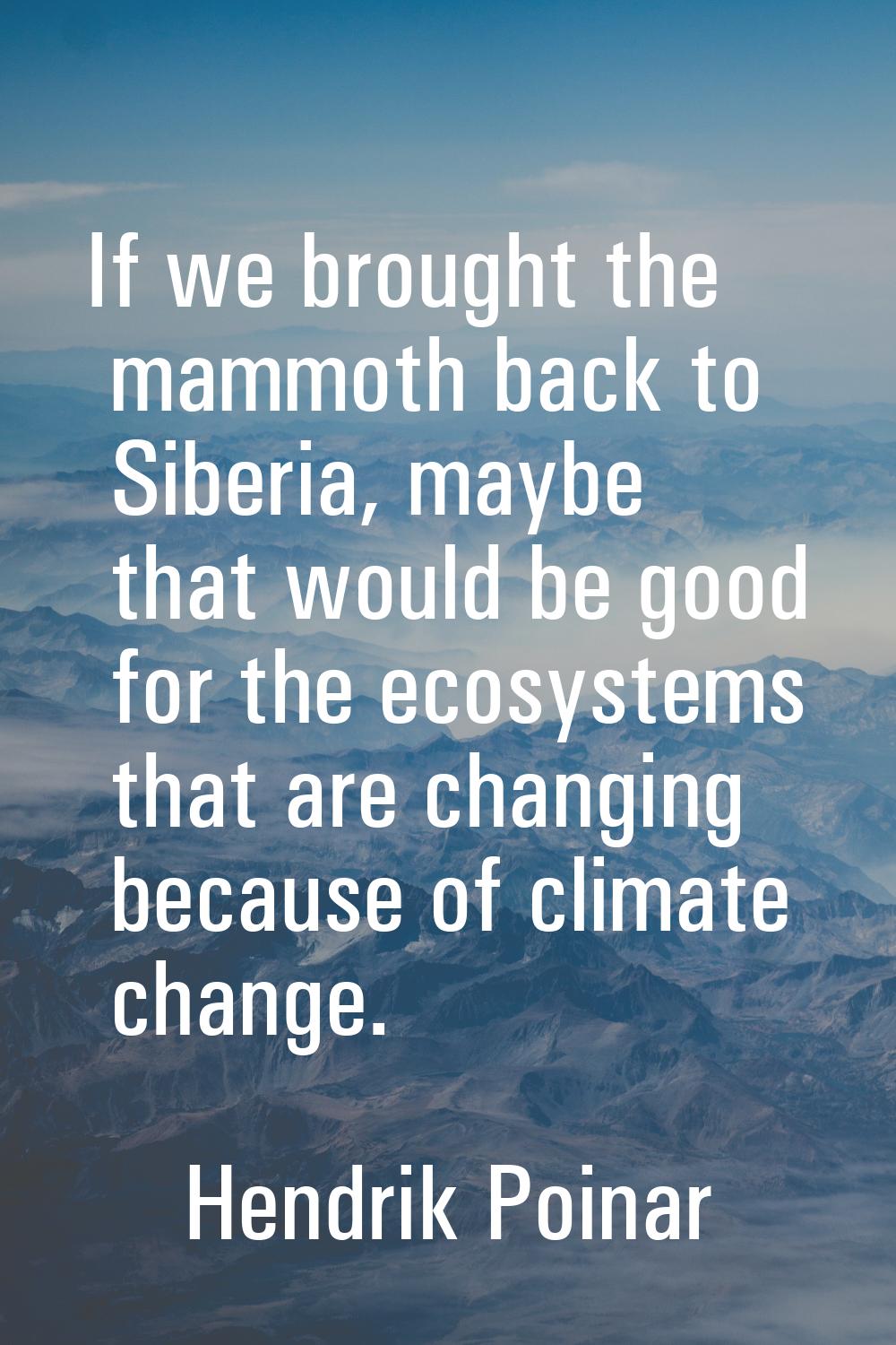 If we brought the mammoth back to Siberia, maybe that would be good for the ecosystems that are cha