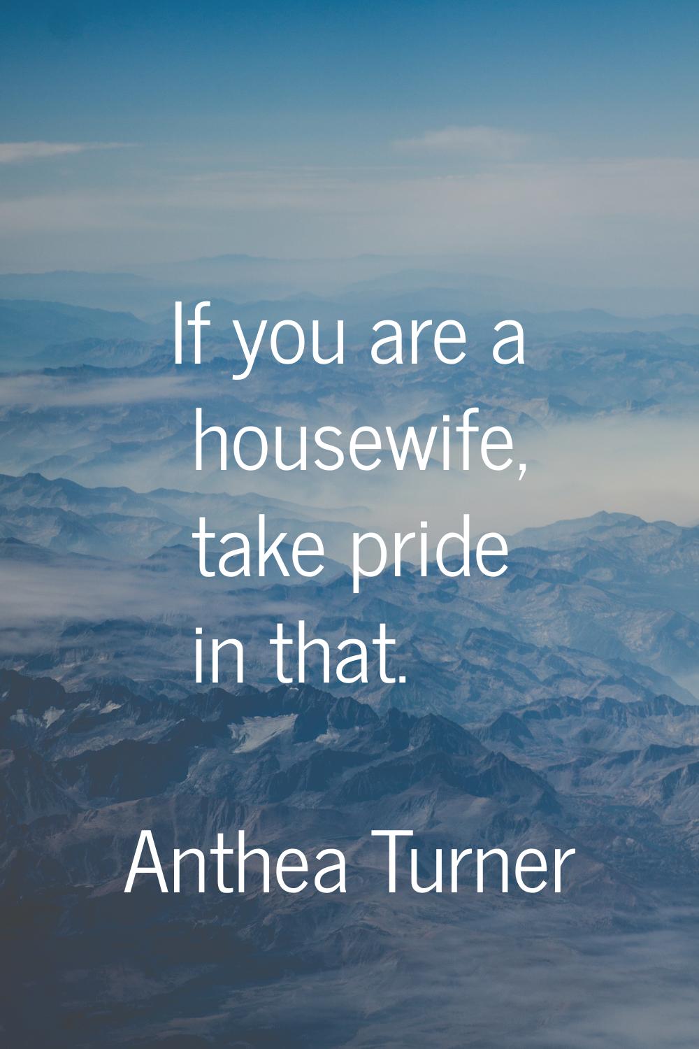 If you are a housewife, take pride in that.