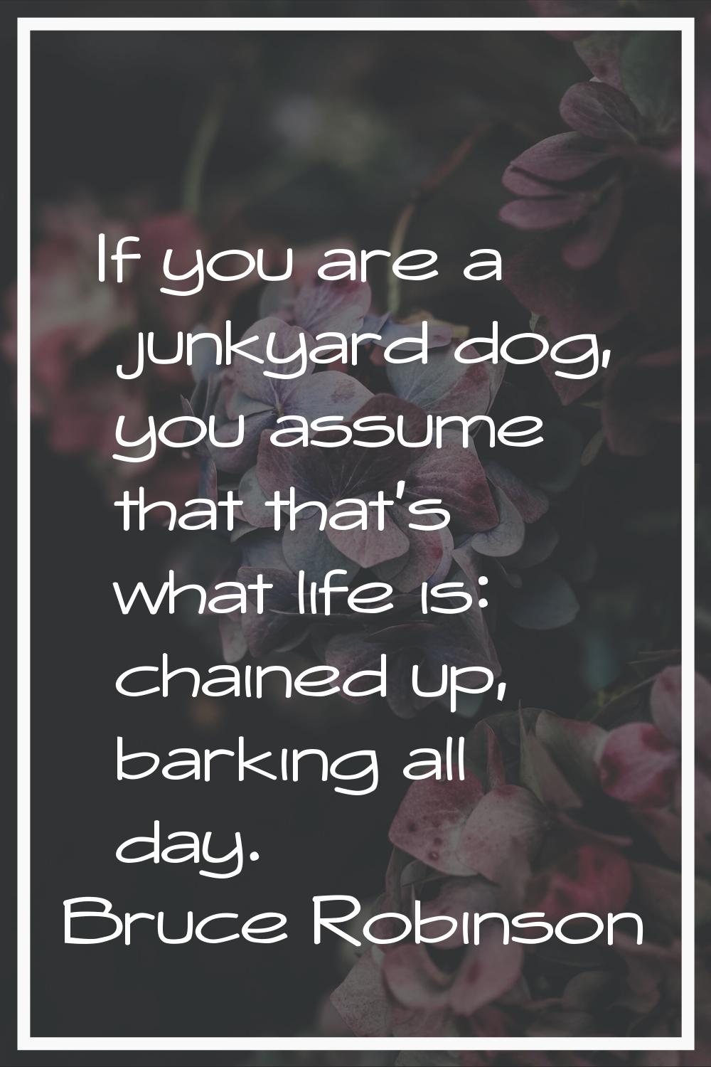 If you are a junkyard dog, you assume that that's what life is: chained up, barking all day.