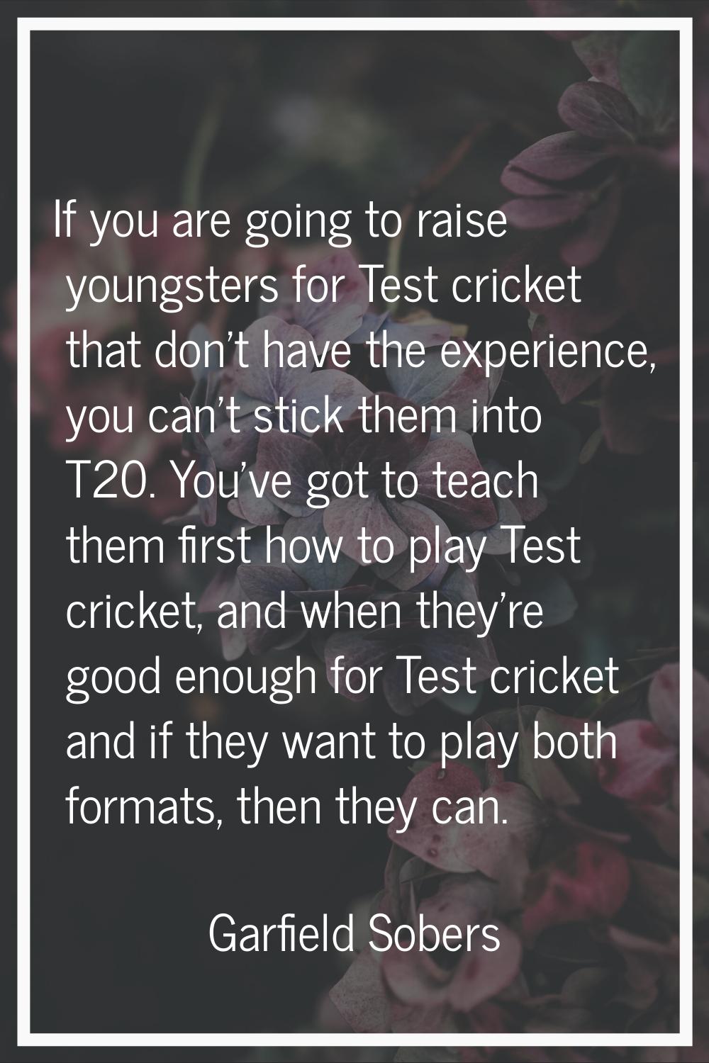 If you are going to raise youngsters for Test cricket that don't have the experience, you can't sti