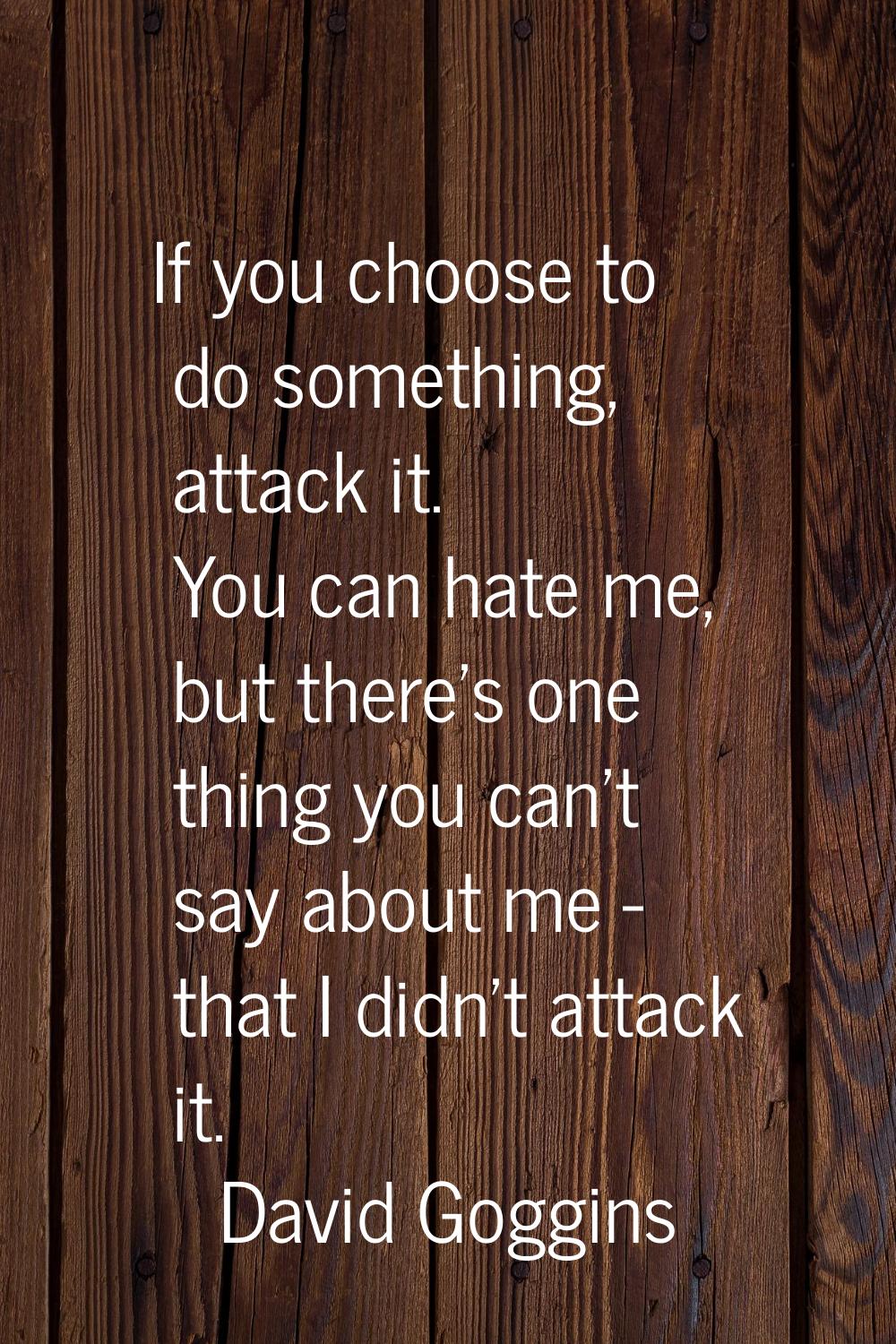 If you choose to do something, attack it. You can hate me, but there's one thing you can't say abou