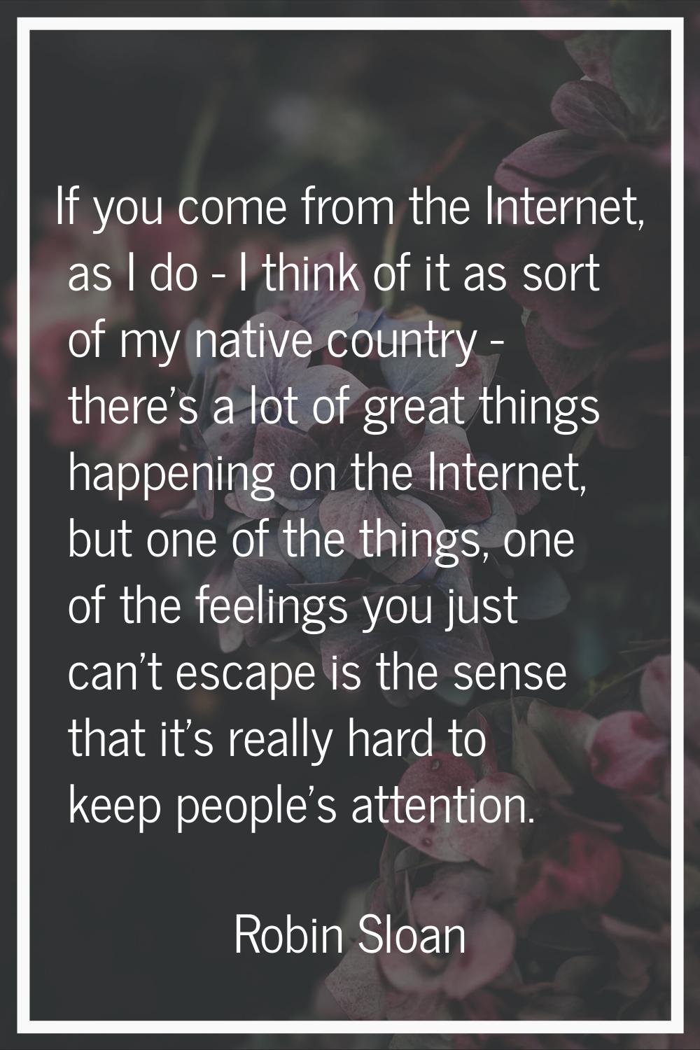 If you come from the Internet, as I do - I think of it as sort of my native country - there's a lot