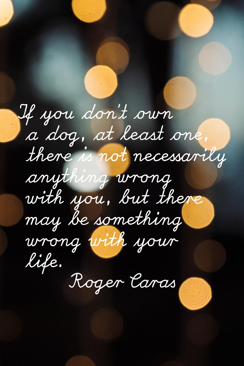 If you don't own a dog, at least one, there is not necessarily anything wrong with you, but there m