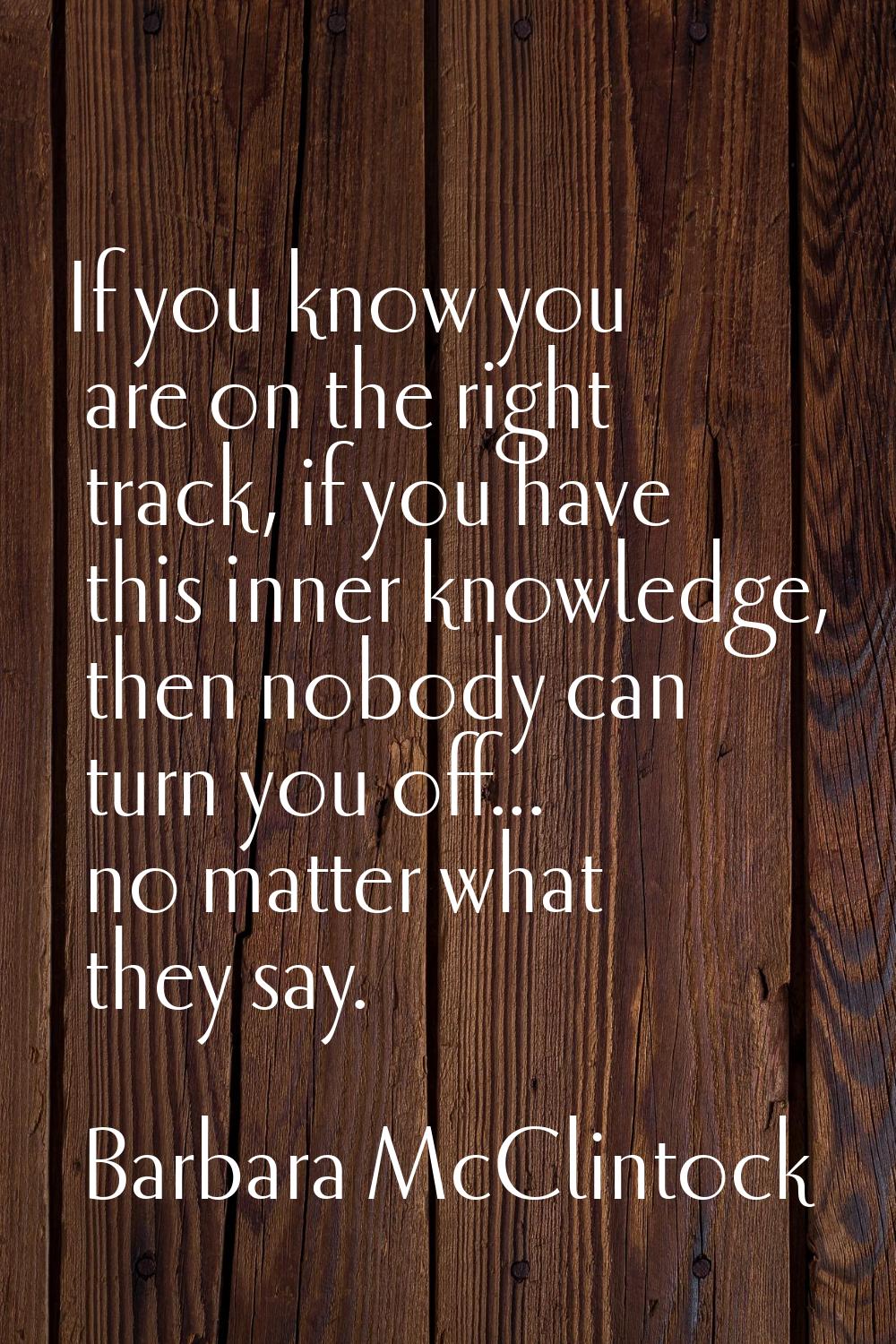 If you know you are on the right track, if you have this inner knowledge, then nobody can turn you 