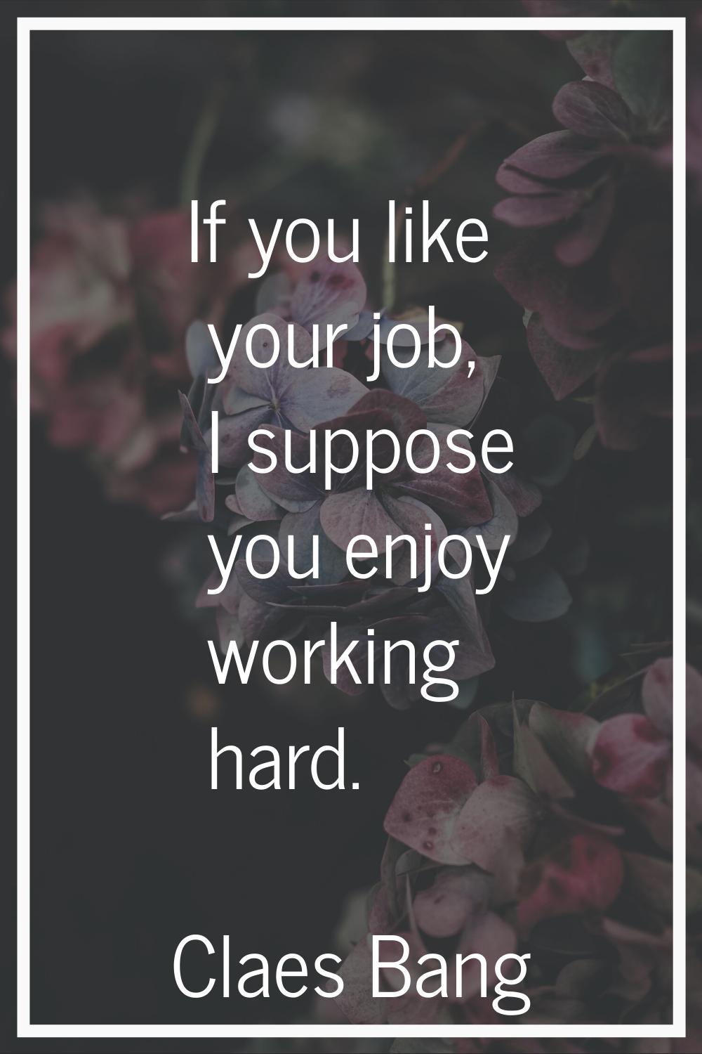 If you like your job, I suppose you enjoy working hard.