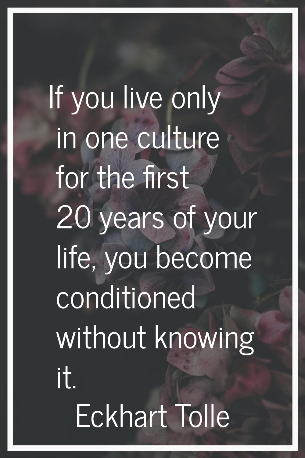 If you live only in one culture for the first 20 years of your life, you become conditioned without