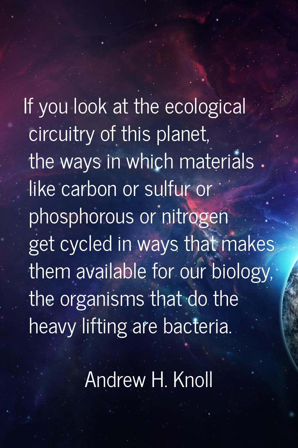 If you look at the ecological circuitry of this planet, the ways in which materials like carbon or 