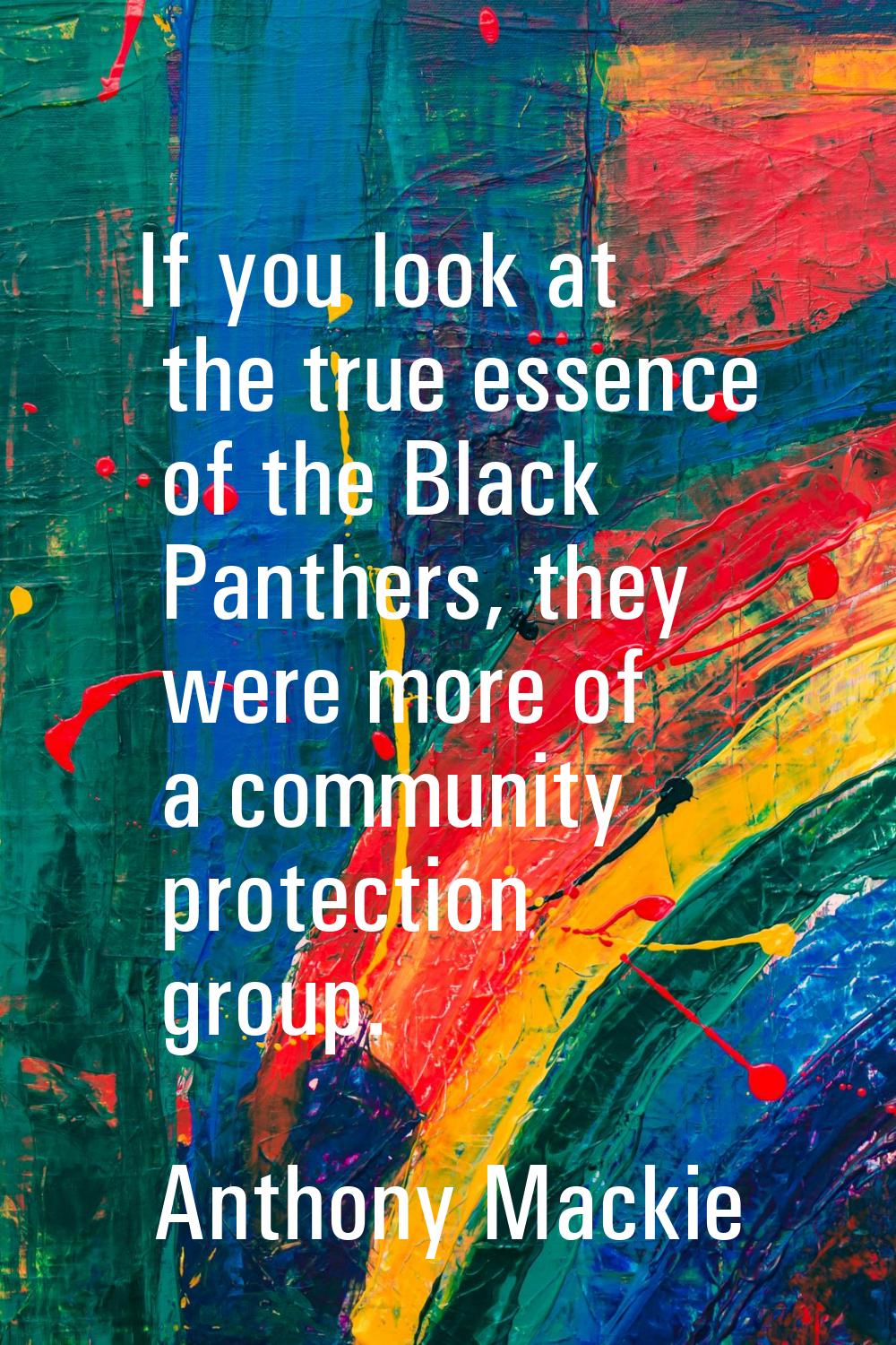 If you look at the true essence of the Black Panthers, they were more of a community protection gro