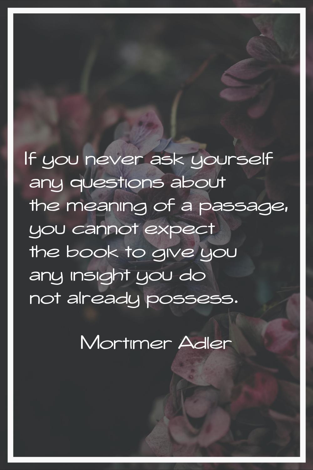 If you never ask yourself any questions about the meaning of a passage, you cannot expect the book 