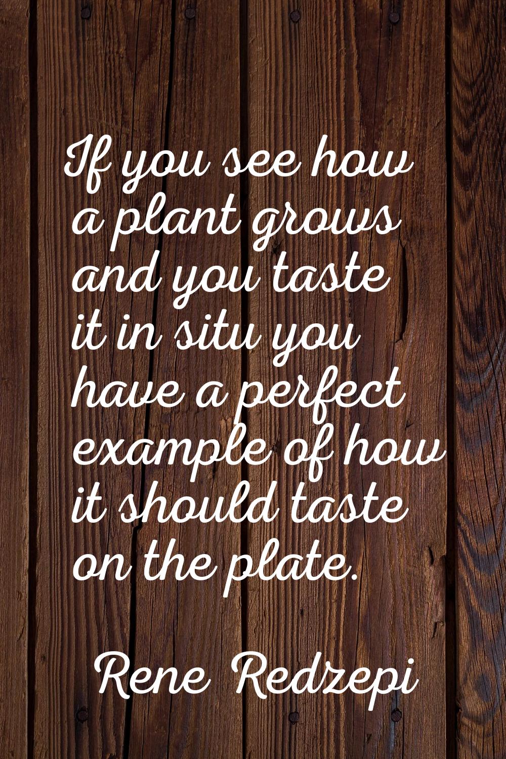 If you see how a plant grows and you taste it in situ you have a perfect example of how it should t