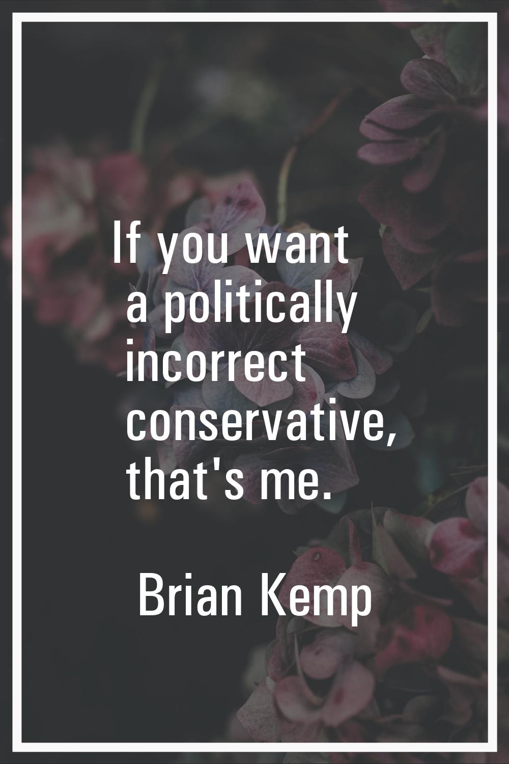 If you want a politically incorrect conservative, that's me.