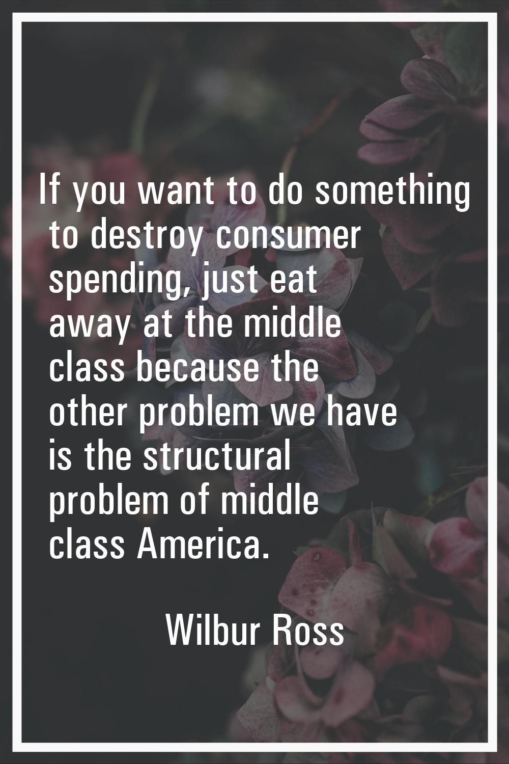 If you want to do something to destroy consumer spending, just eat away at the middle class because