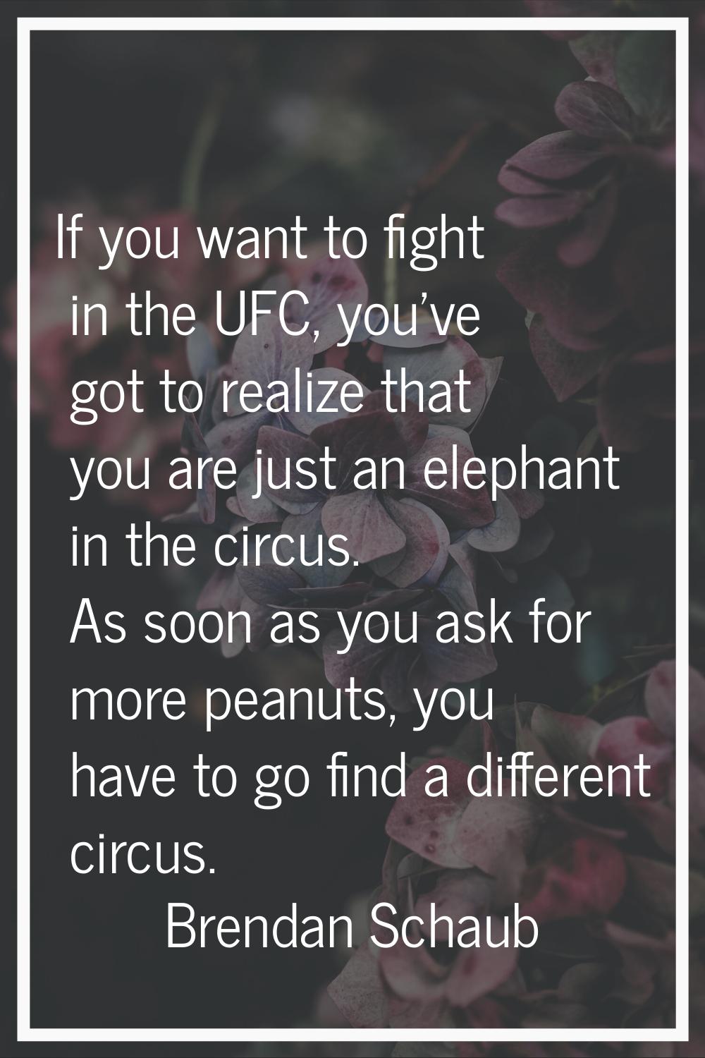 If you want to fight in the UFC, you've got to realize that you are just an elephant in the circus.