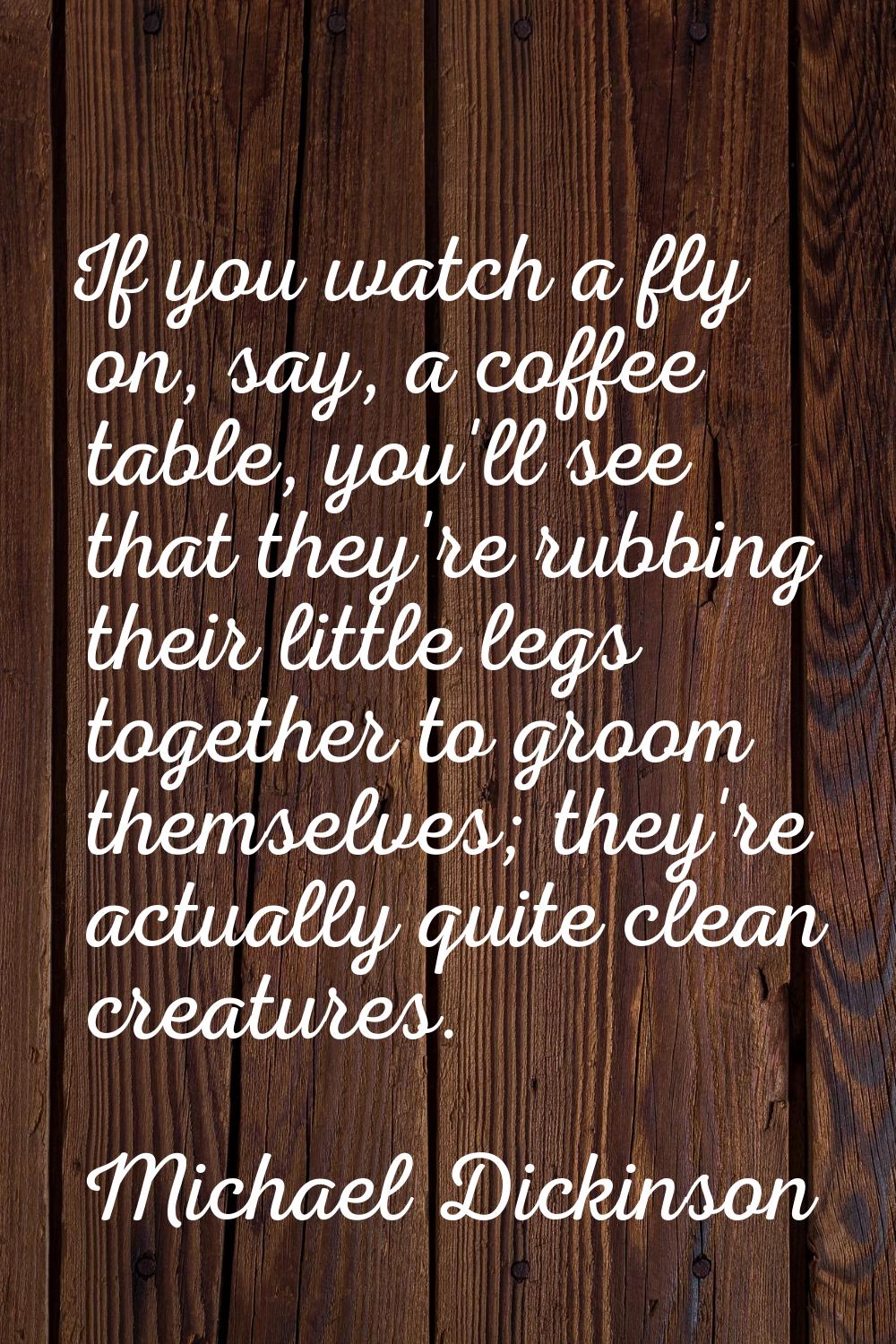 If you watch a fly on, say, a coffee table, you'll see that they're rubbing their little legs toget