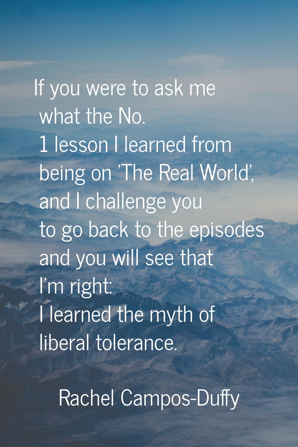 If you were to ask me what the No. 1 lesson I learned from being on 'The Real World', and I challen