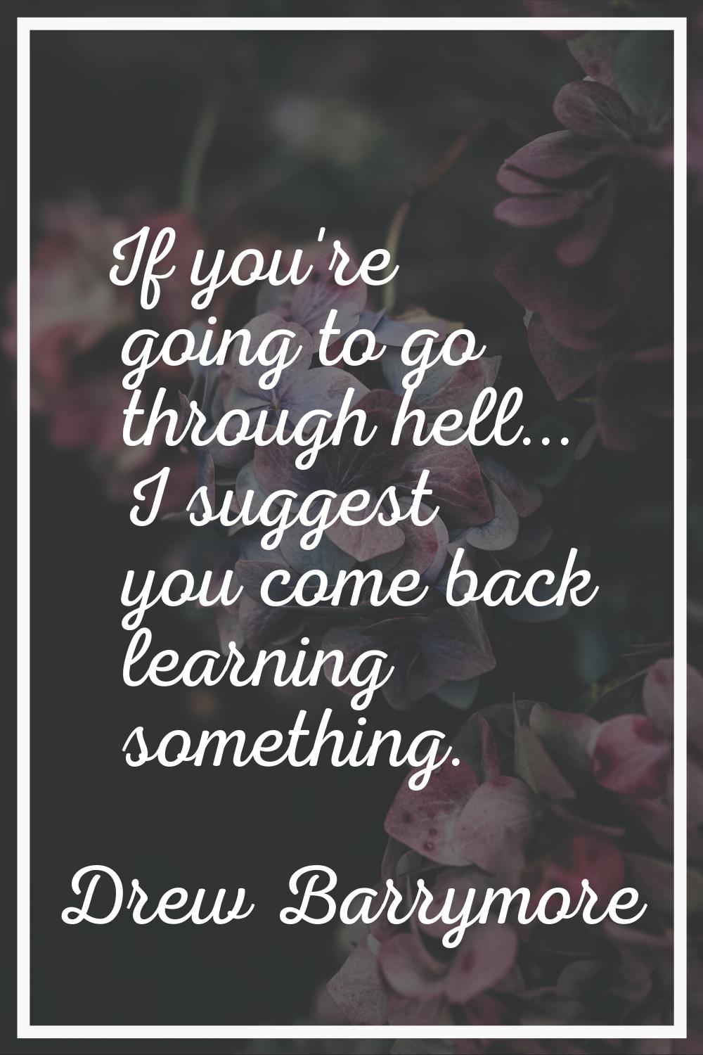 If you're going to go through hell... I suggest you come back learning something.