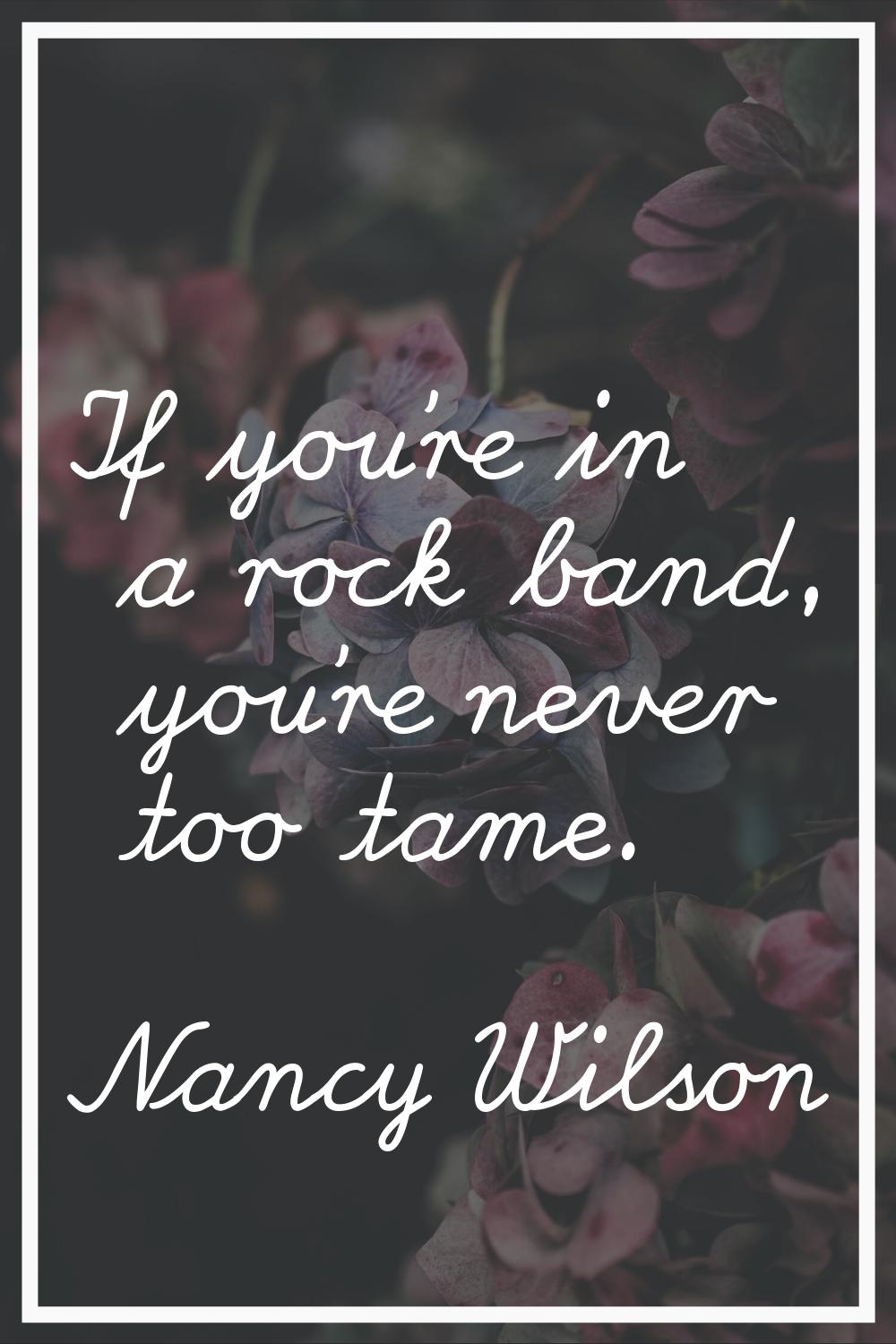 If you're in a rock band, you're never too tame.
