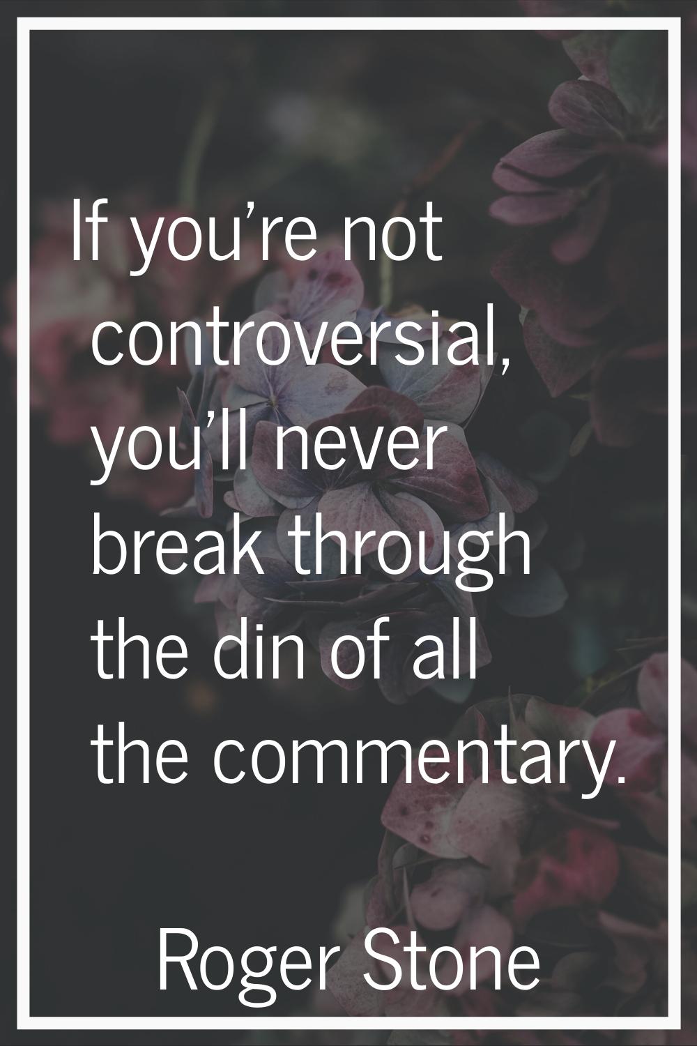 If you're not controversial, you'll never break through the din of all the commentary.