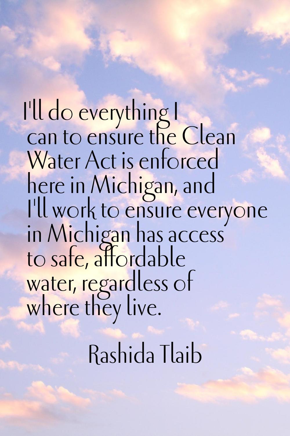 I'll do everything I can to ensure the Clean Water Act is enforced here in Michigan, and I'll work 