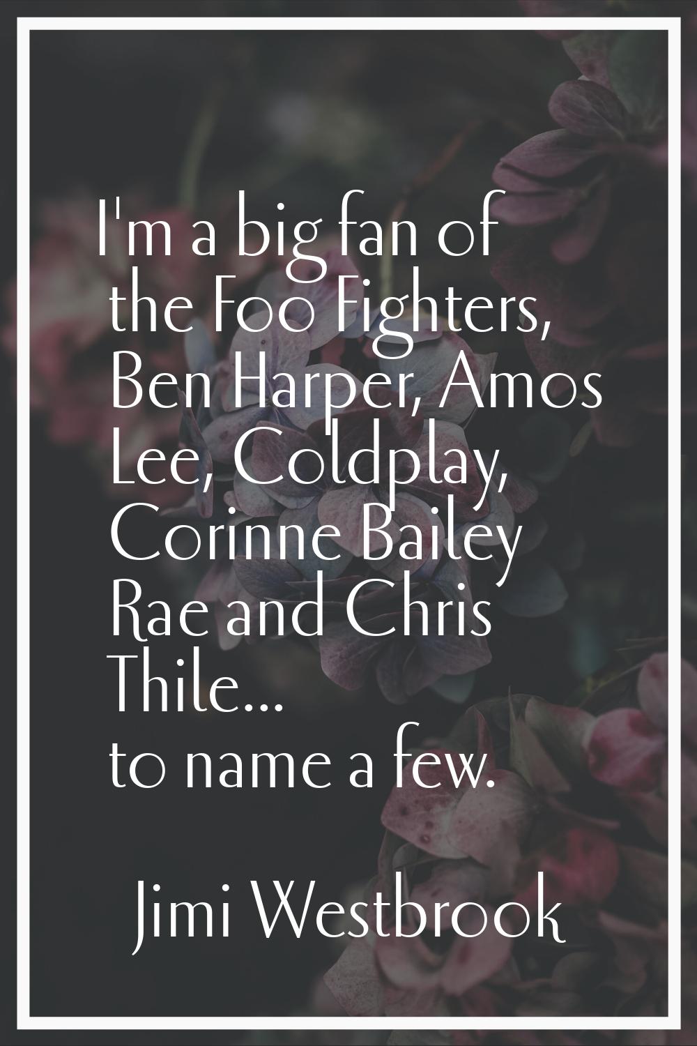 I'm a big fan of the Foo Fighters, Ben Harper, Amos Lee, Coldplay, Corinne Bailey Rae and Chris Thi
