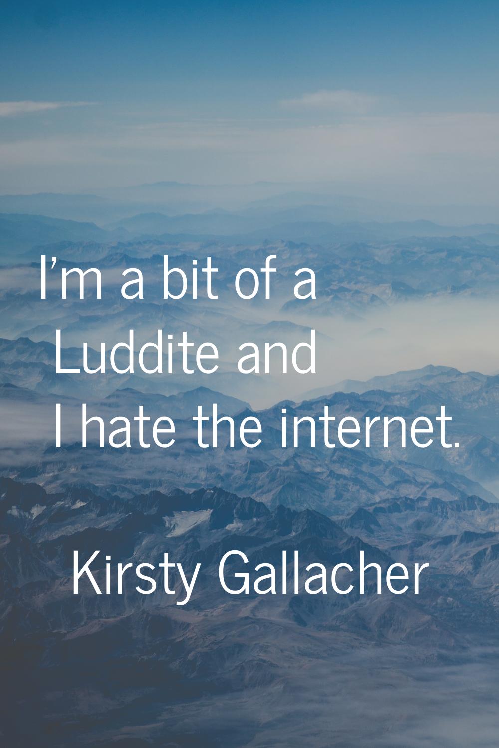 I'm a bit of a Luddite and I hate the internet.