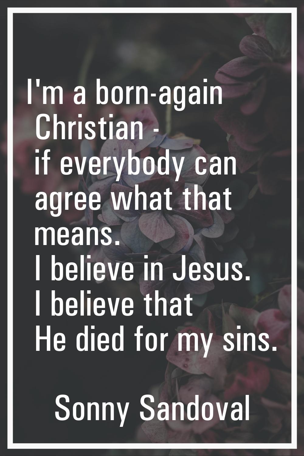 I'm a born-again Christian - if everybody can agree what that means. I believe in Jesus. I believe 