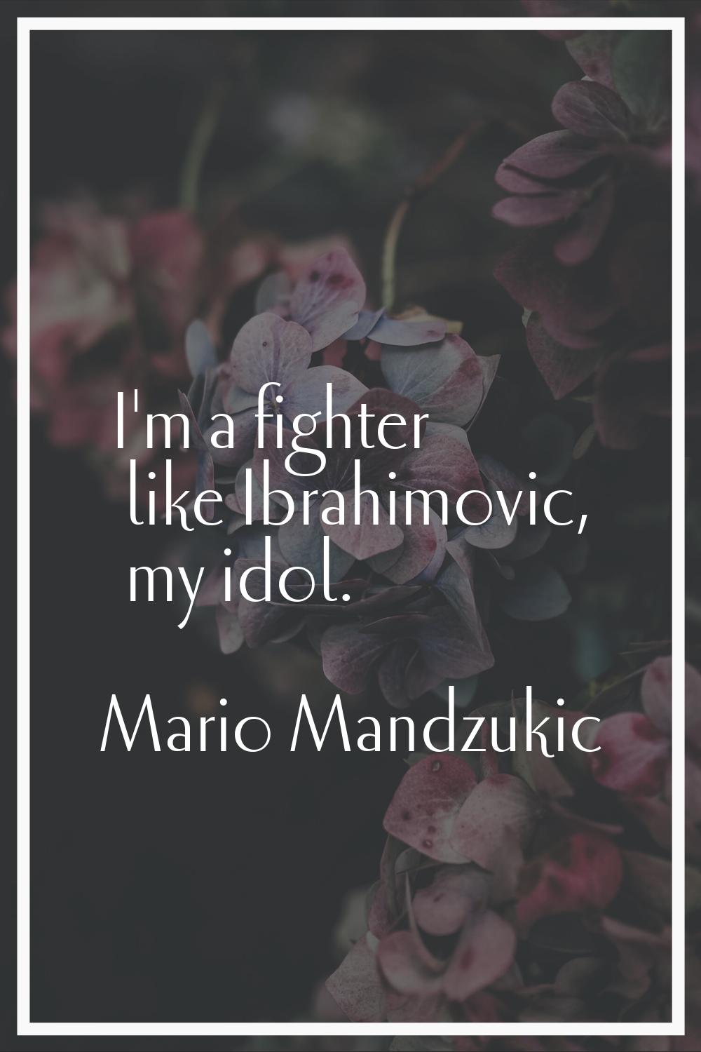 I'm a fighter like Ibrahimovic, my idol.