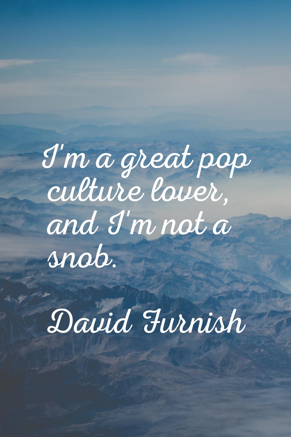 I'm a great pop culture lover, and I'm not a snob.