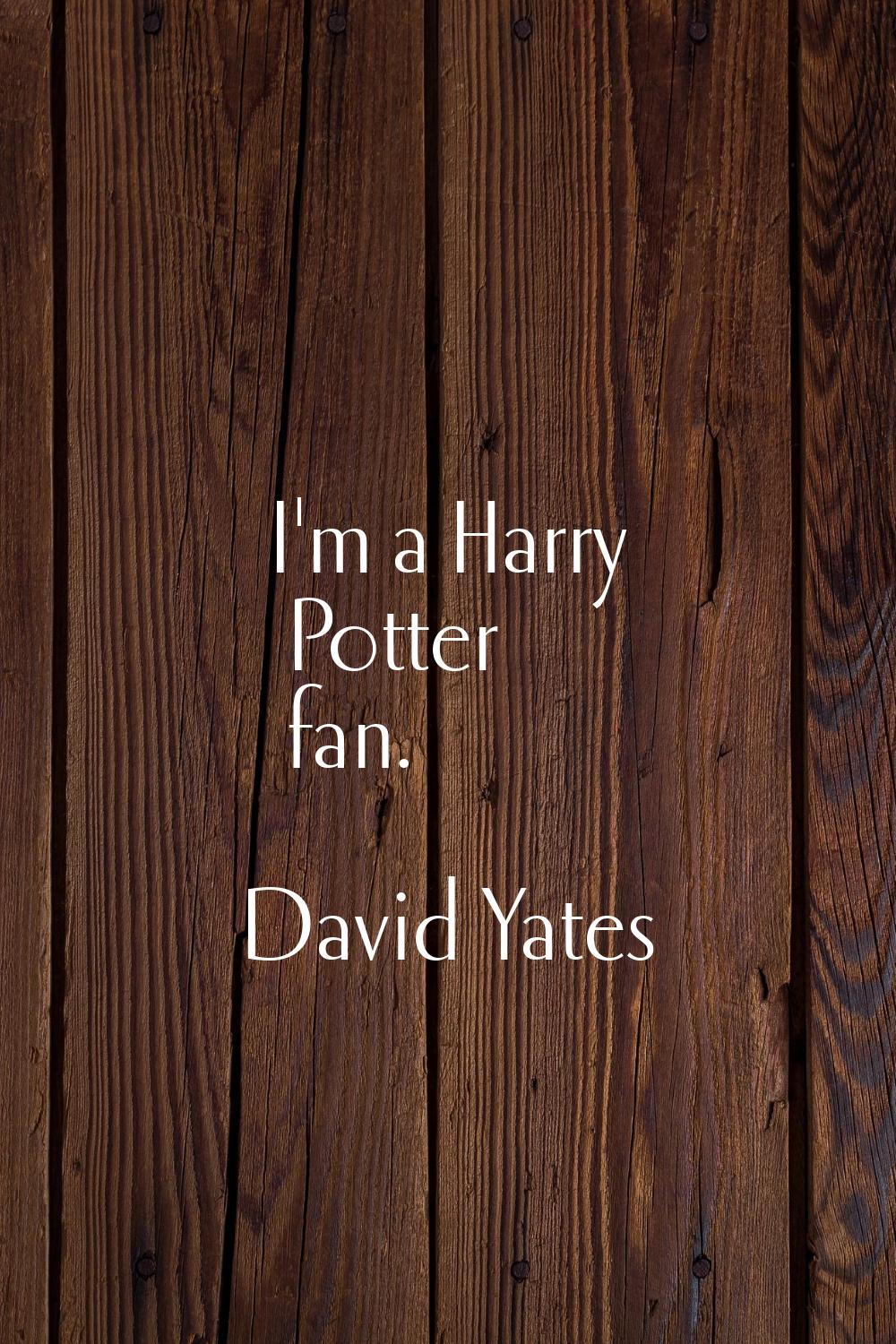 I'm a Harry Potter fan.