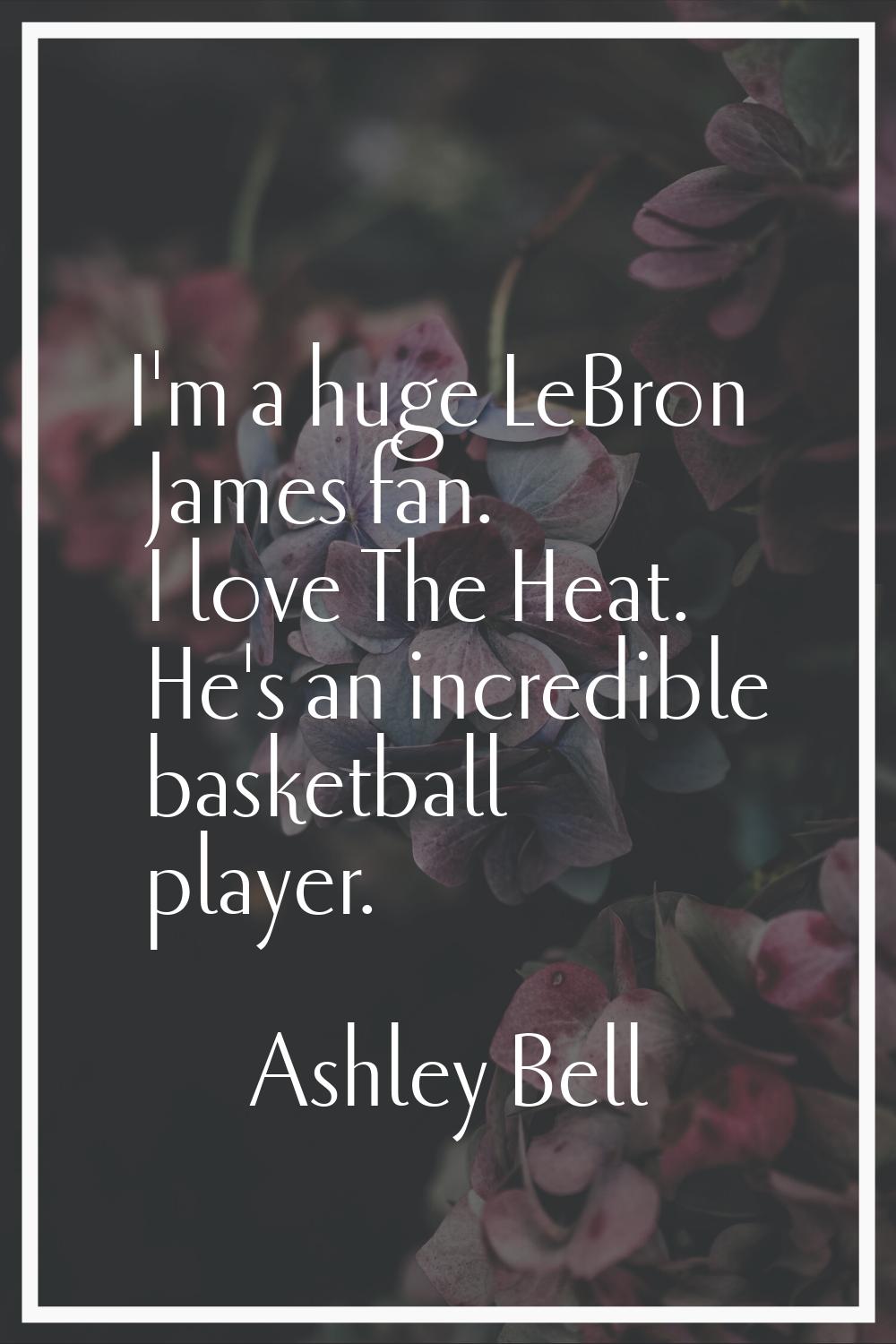 I'm a huge LeBron James fan. I love The Heat. He's an incredible basketball player.