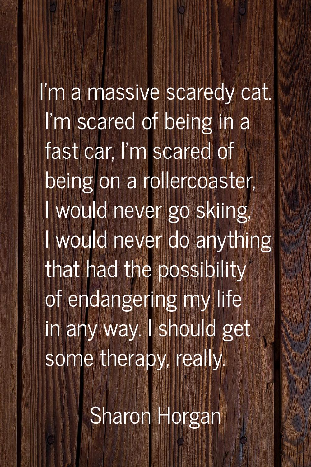 I'm a massive scaredy cat. I'm scared of being in a fast car, I'm scared of being on a rollercoaste