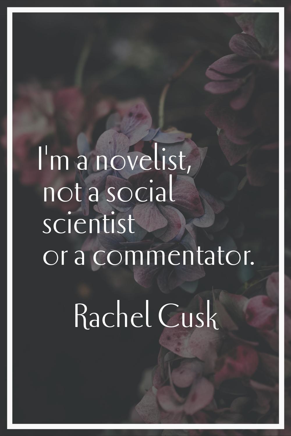 I'm a novelist, not a social scientist or a commentator.