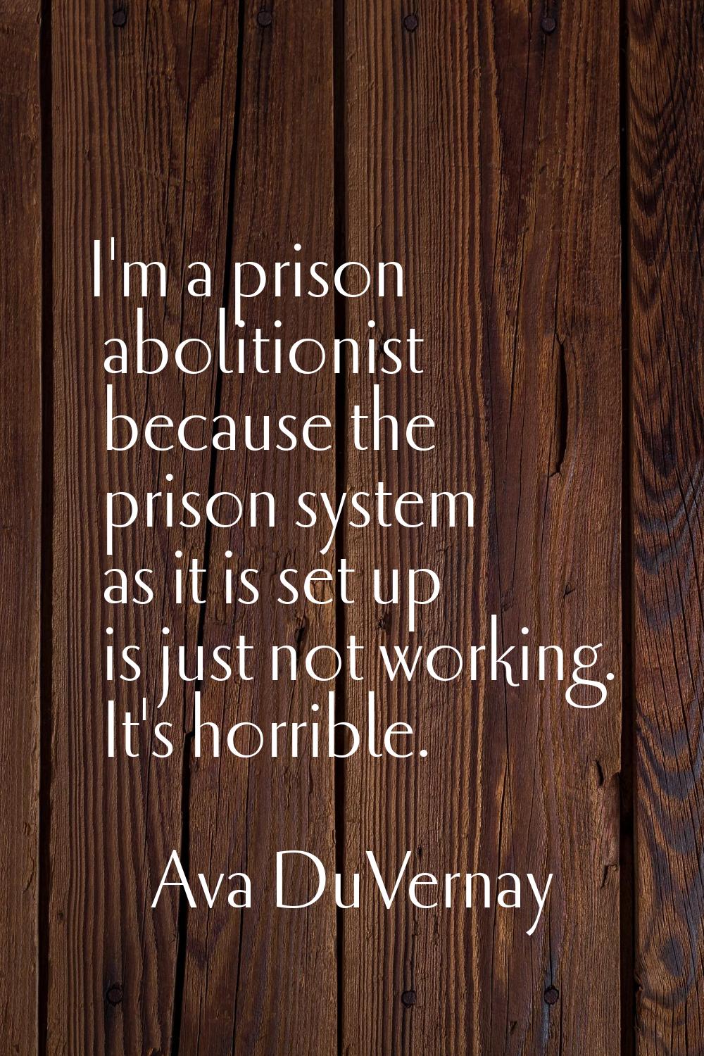 I'm a prison abolitionist because the prison system as it is set up is just not working. It's horri