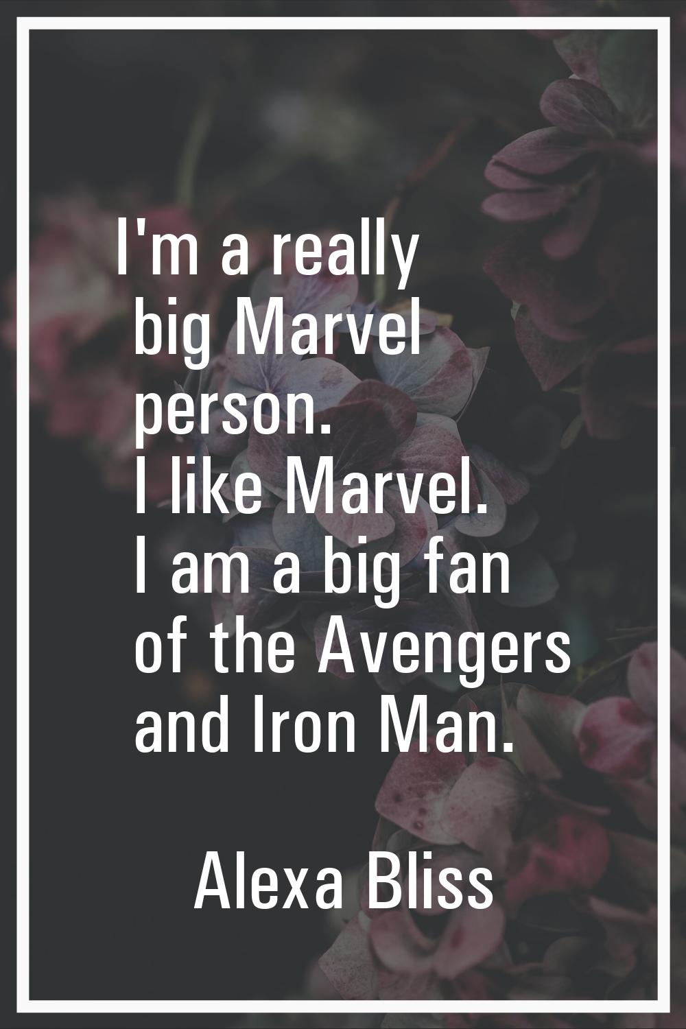 I'm a really big Marvel person. I like Marvel. I am a big fan of the Avengers and Iron Man.