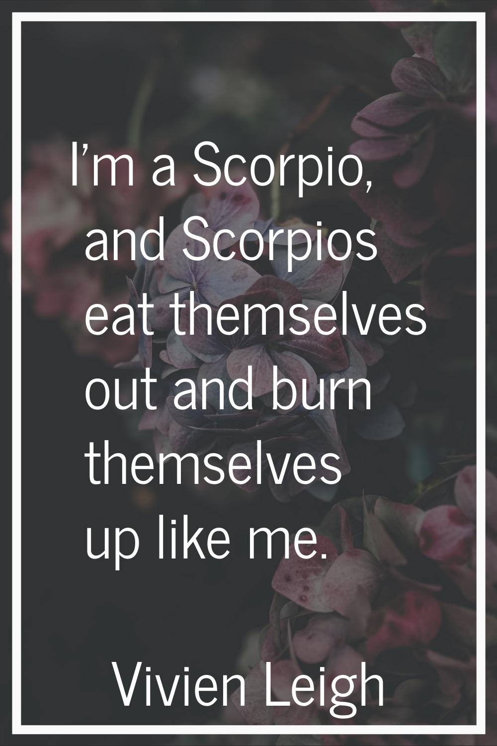 I'm a Scorpio, and Scorpios eat themselves out and burn themselves up like me.