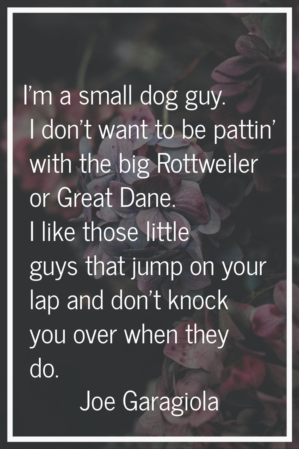 I'm a small dog guy. I don't want to be pattin' with the big Rottweiler or Great Dane. I like those