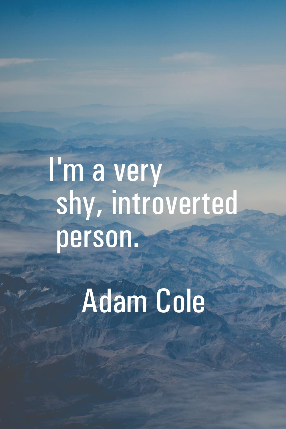 I'm a very shy, introverted person.