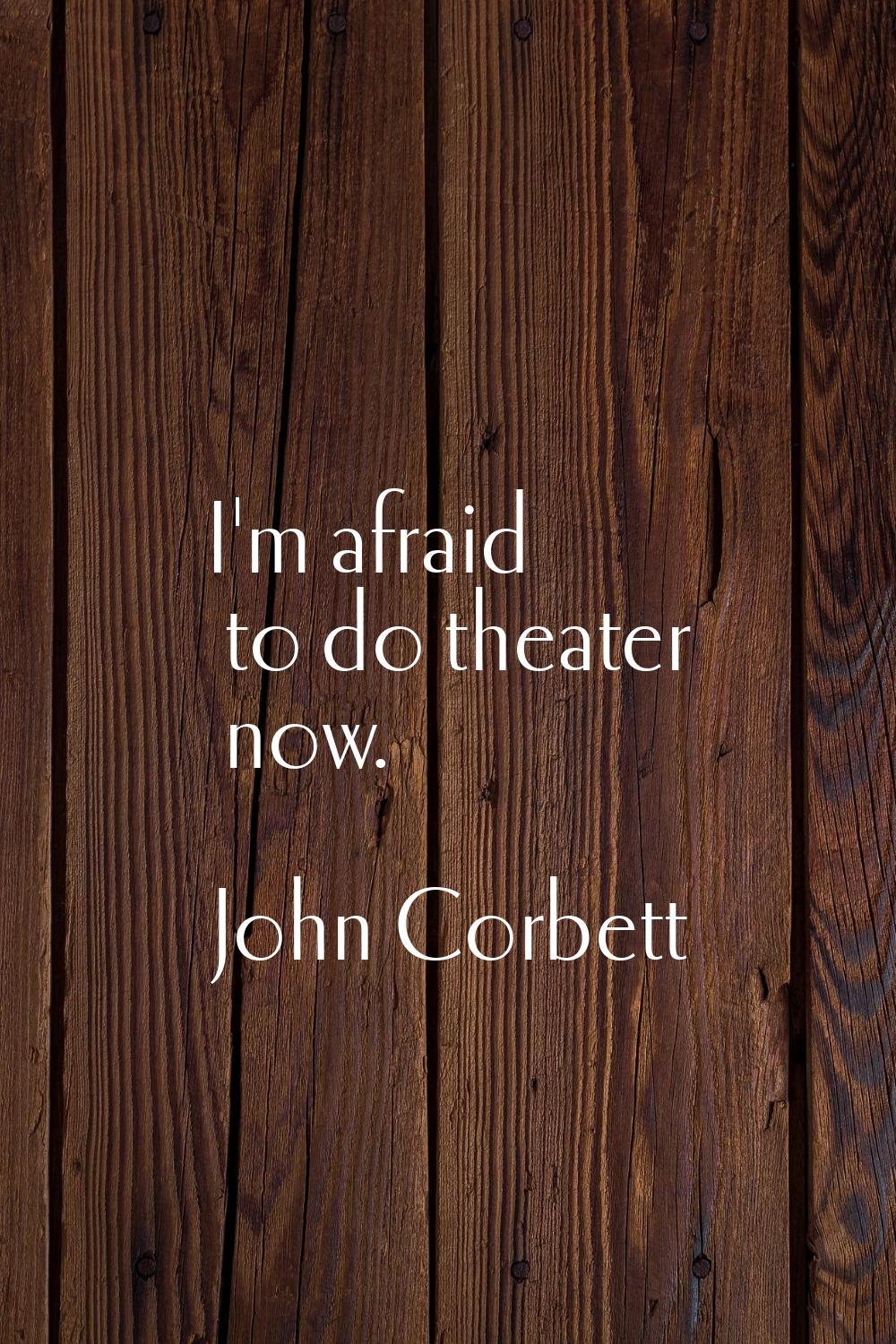 I'm afraid to do theater now.