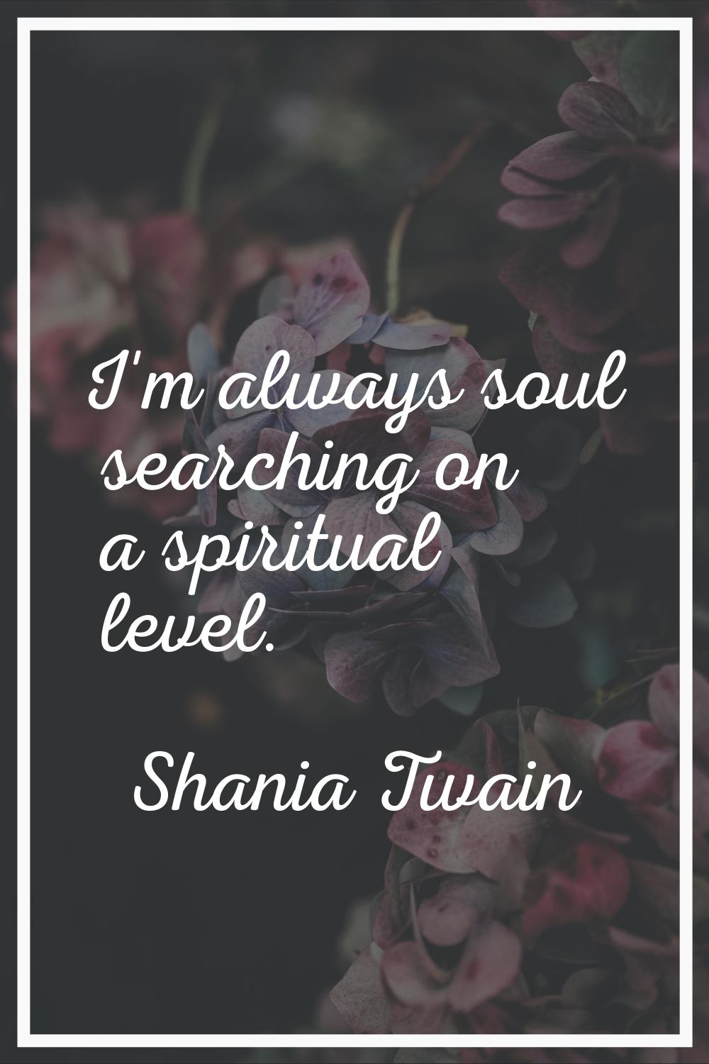 I'm always soul searching on a spiritual level.