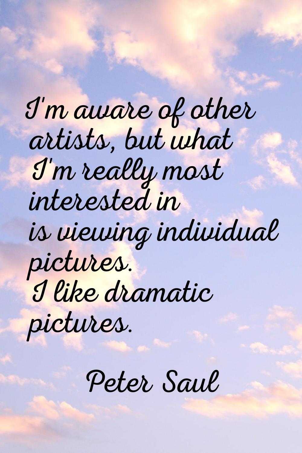 I'm aware of other artists, but what I'm really most interested in is viewing individual pictures. 