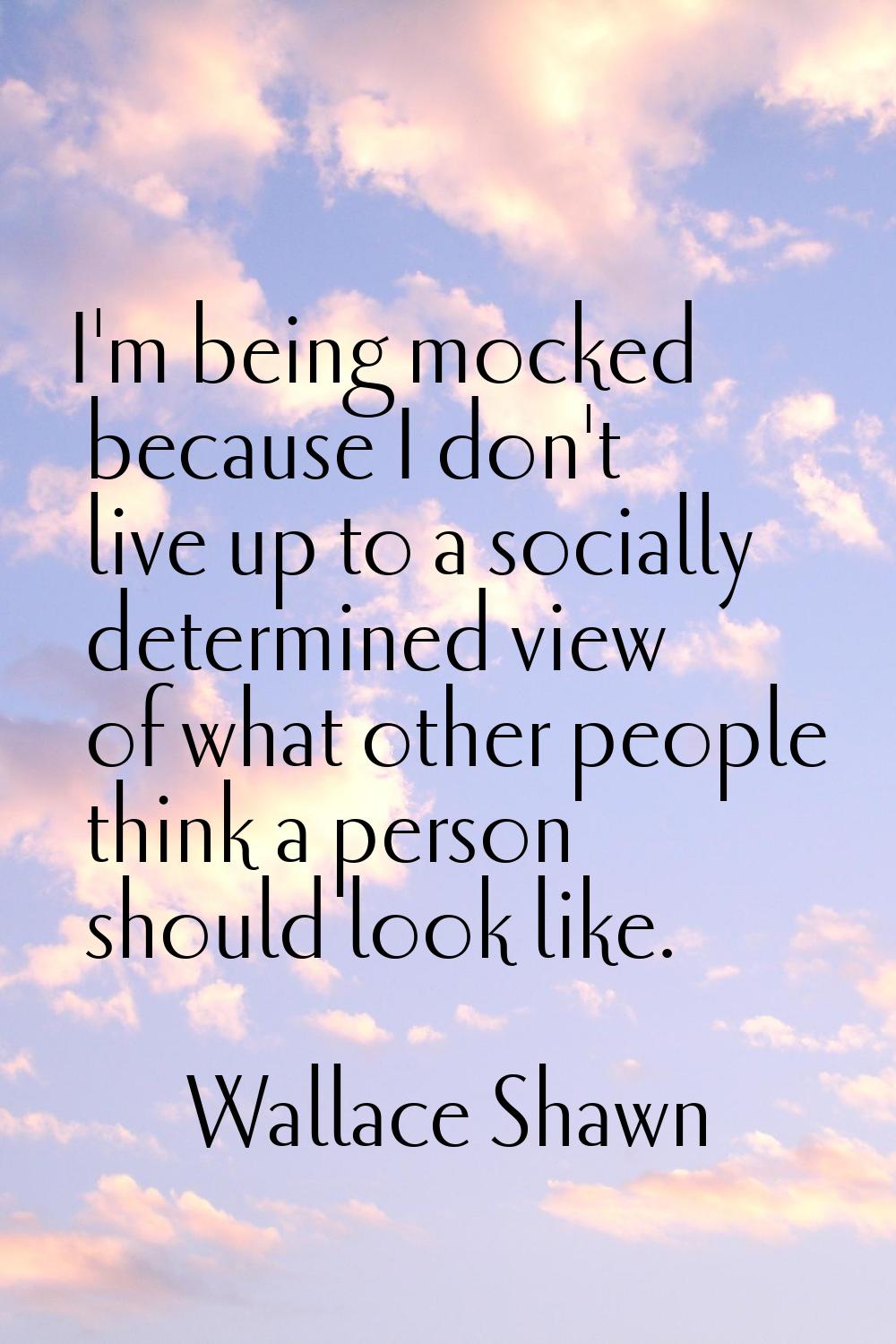 I'm being mocked because I don't live up to a socially determined view of what other people think a