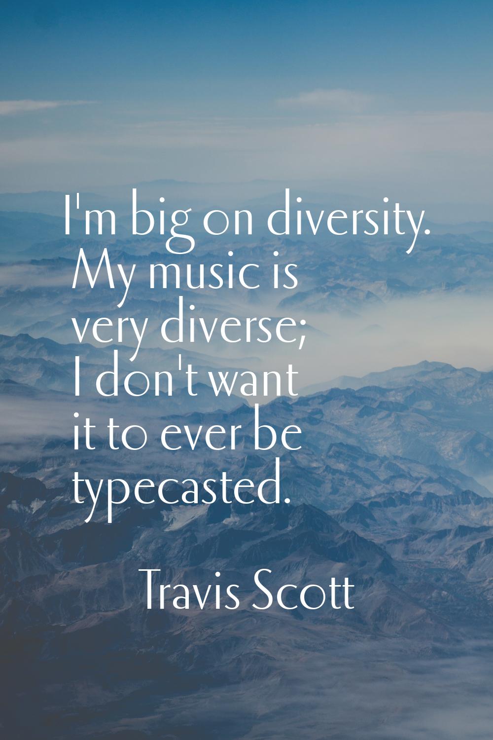 I'm big on diversity. My music is very diverse; I don't want it to ever be typecasted.