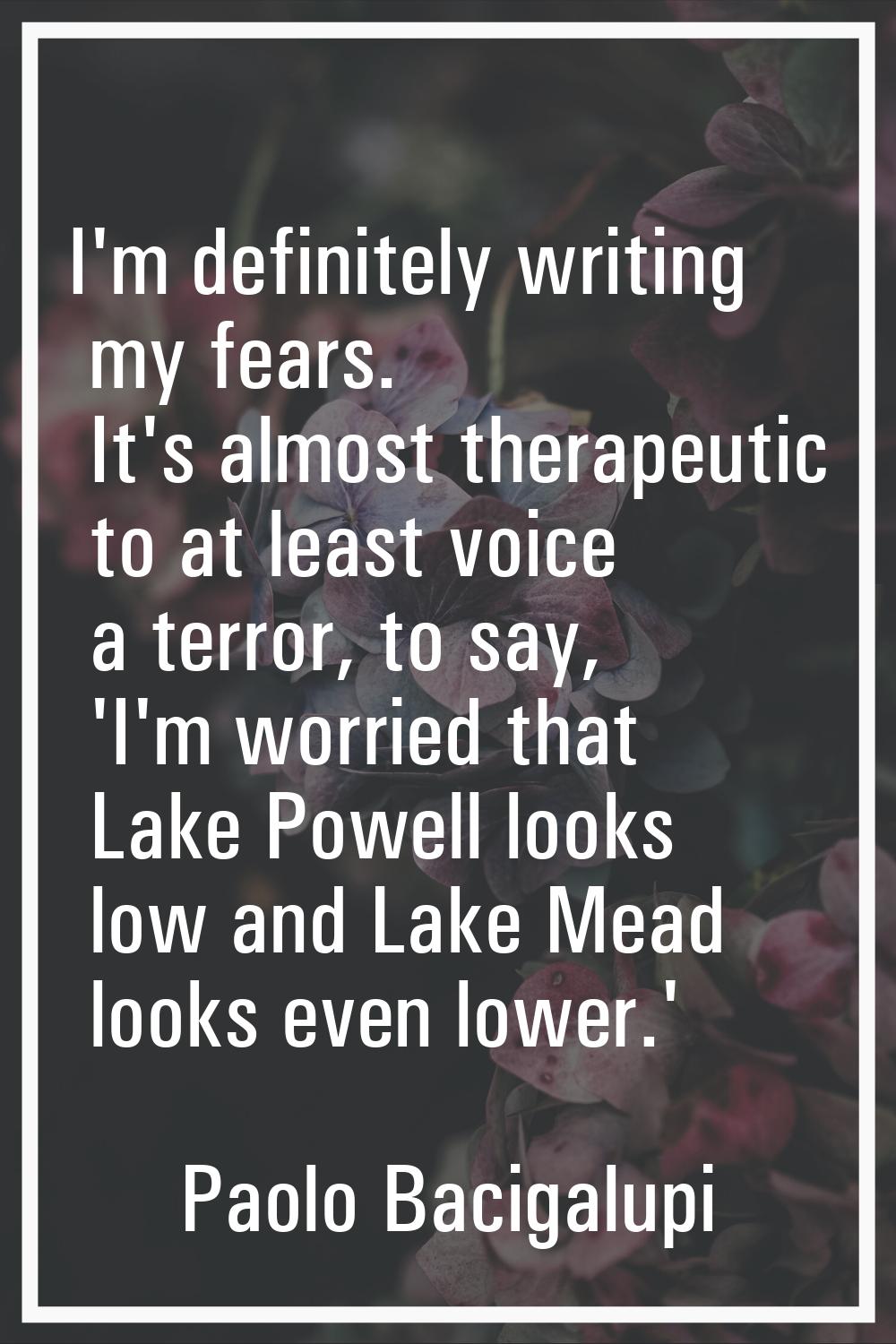 I'm definitely writing my fears. It's almost therapeutic to at least voice a terror, to say, 'I'm w
