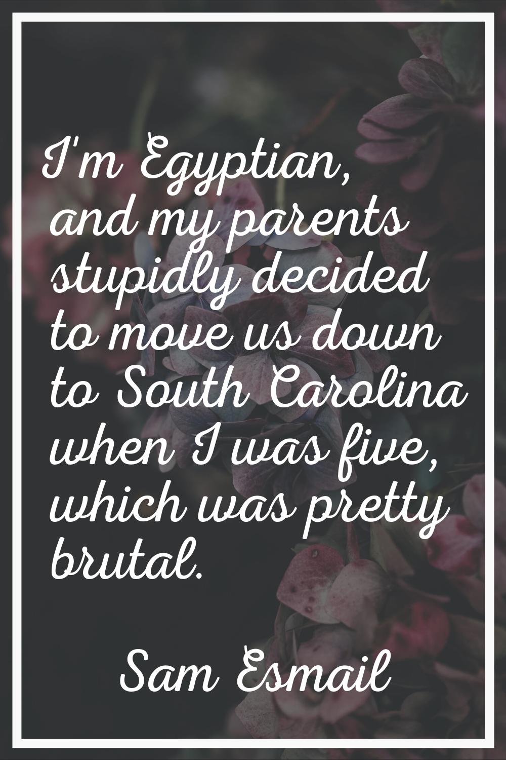 I'm Egyptian, and my parents stupidly decided to move us down to South Carolina when I was five, wh