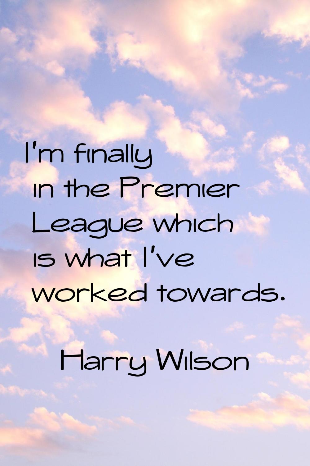 I'm finally in the Premier League which is what I've worked towards.