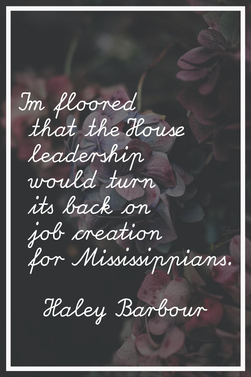 I'm floored that the House leadership would turn its back on job creation for Mississippians.