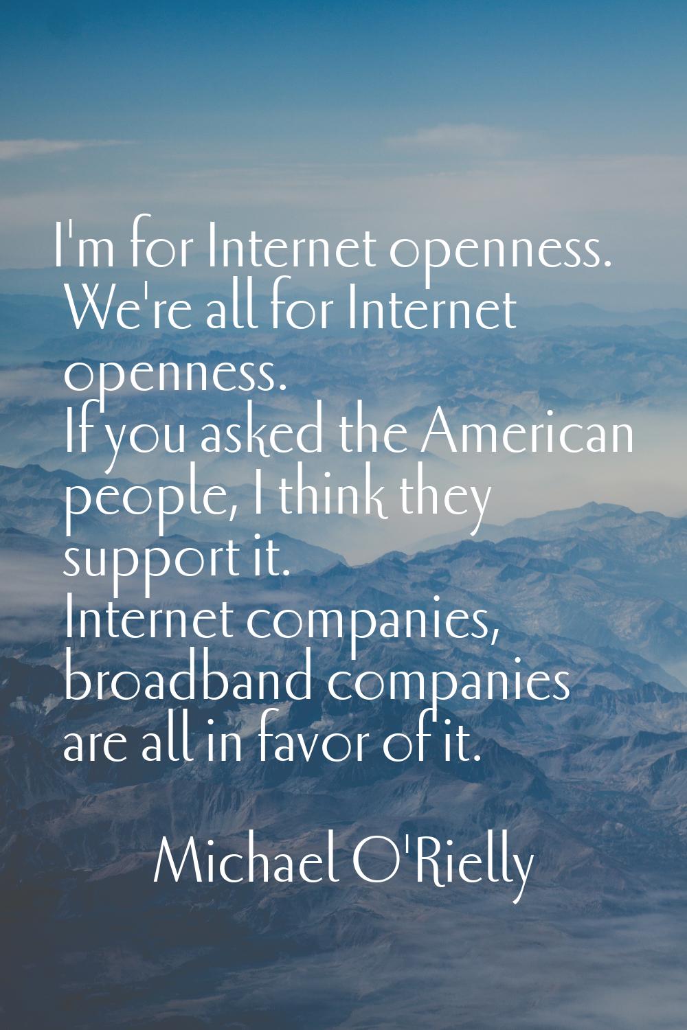 I'm for Internet openness. We're all for Internet openness. If you asked the American people, I thi