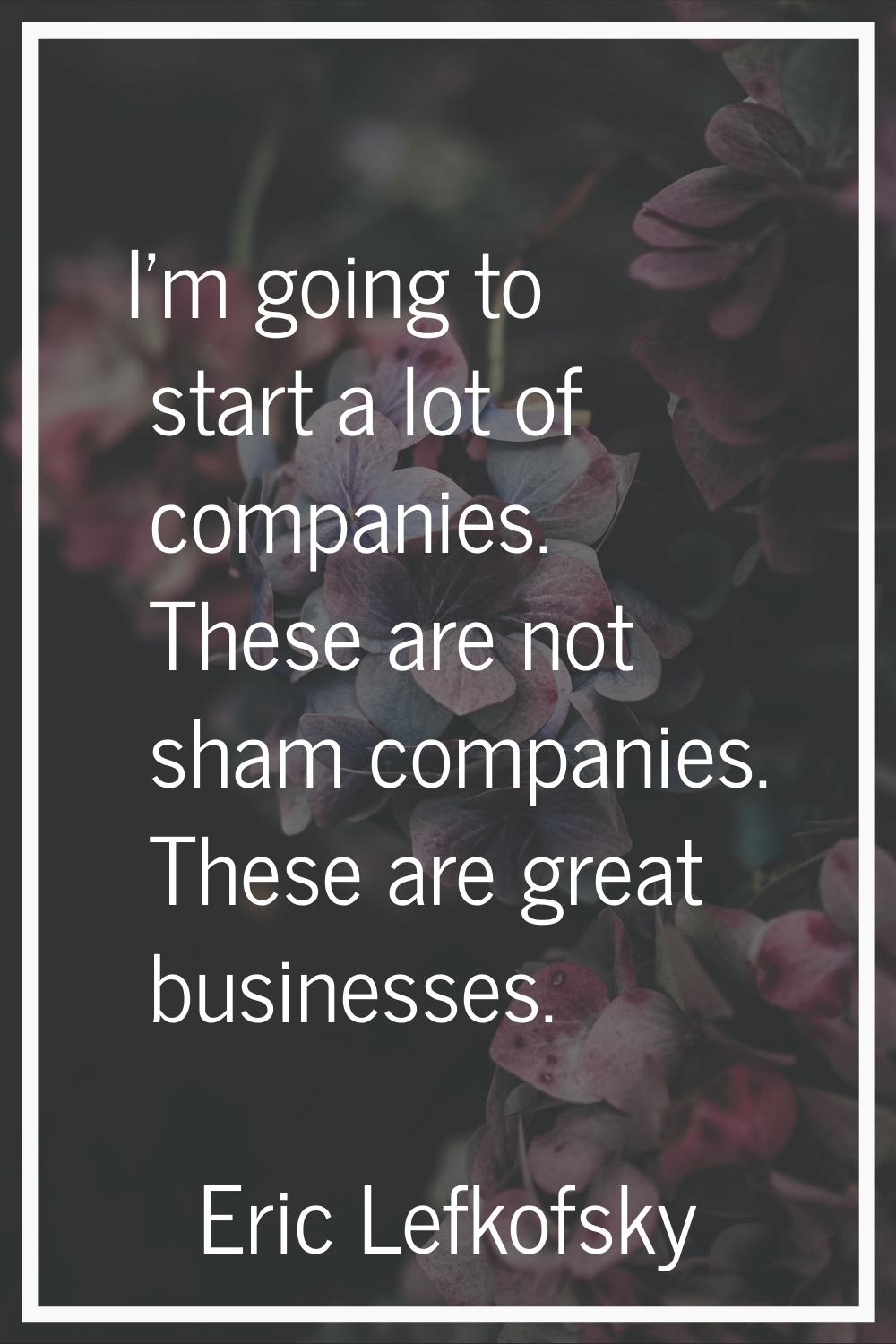 I'm going to start a lot of companies. These are not sham companies. These are great businesses.