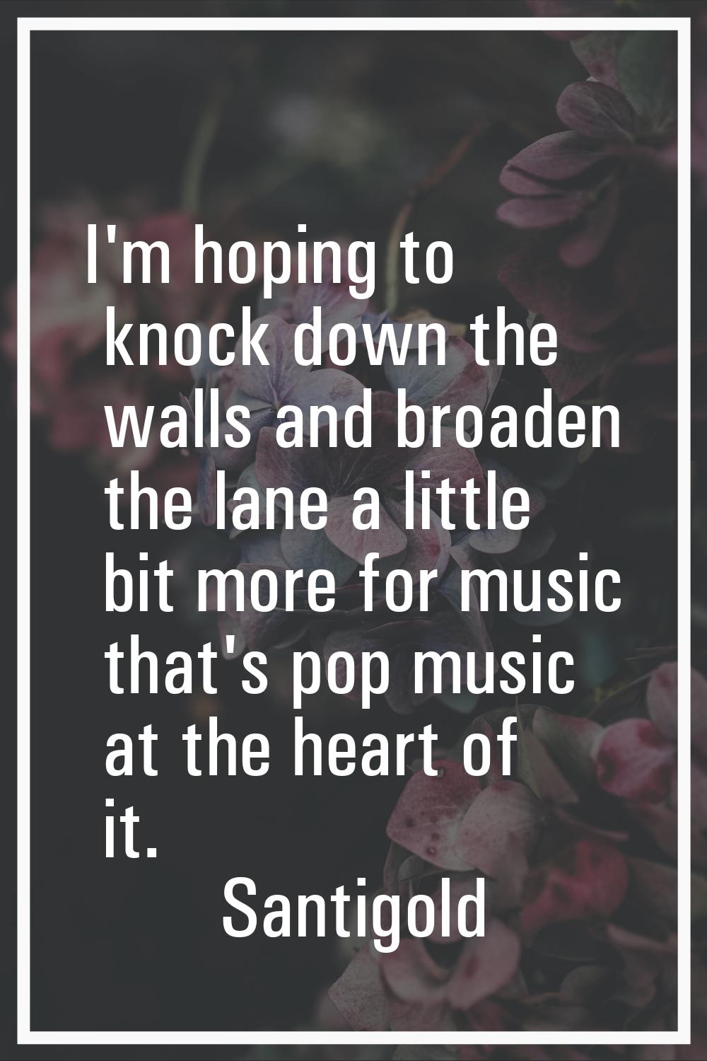 I'm hoping to knock down the walls and broaden the lane a little bit more for music that's pop musi