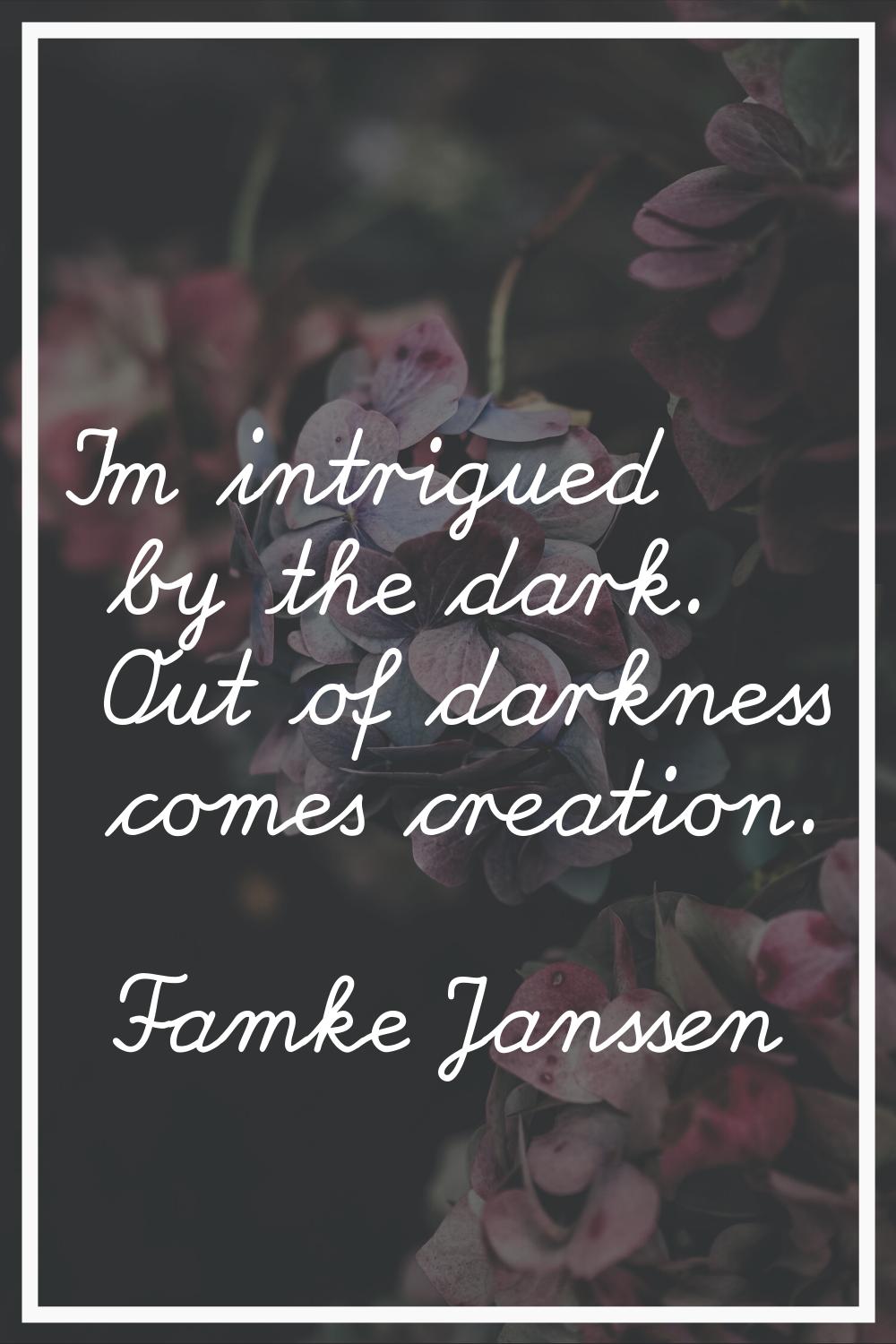 I'm intrigued by the dark. Out of darkness comes creation.